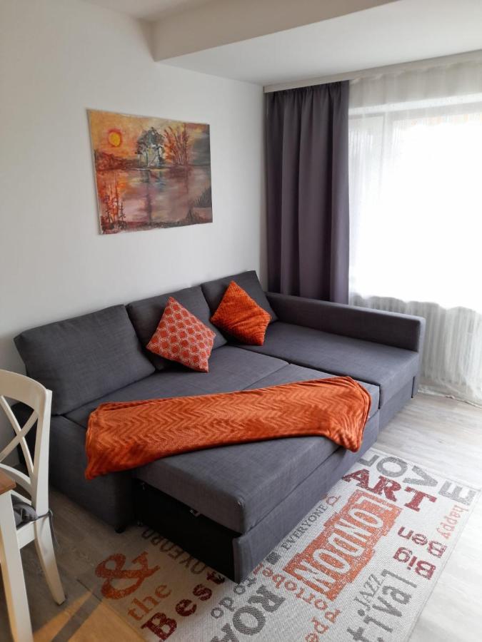 Dahls Ferienwohnung Sankt Andreasberg Exterior foto